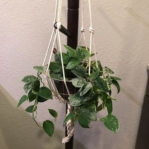 Gold Wire Basket Macrame Hanging Pot Set